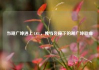 当谢广坤遇上 LOL，独特碰撞下的谢广坤歌曲