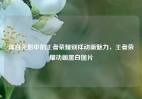 黑白光影中的王者荣耀别样动画魅力，王者荣耀动画黑白图片