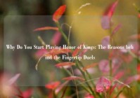 Why Do You Start Playing Honor of Kings: The Reasons behind the Fingertip Duels