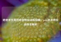 绝地求生高效听音辨位训练指南，pubg听声辨位训练全解析