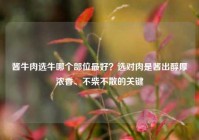 酱牛肉选牛哪个部位最好？选对肉是酱出醇厚浓香、不柴不散的关键