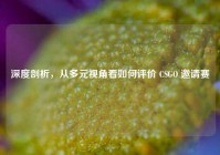 深度剖析，从多元视角看如何评价 CSGO 邀请赛
