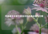 龙辰虚无在和平精英中的热血征程与合集