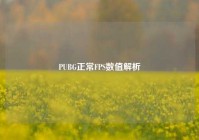 PUBG正常FPS数值解析