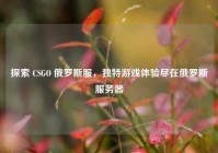 探索 CSGO 俄罗斯服，独特游戏体验尽在俄罗斯服务器