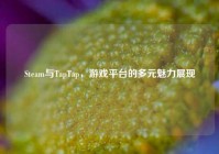 Steam与TapTap，游戏平台的多元魅力展现