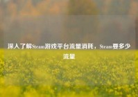 深入了解Steam游戏平台流量消耗，Steam要多少流量