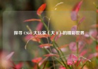 探寻 CSGO 大玩家（大 R）的精彩世界