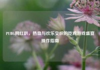 PUBG网红趴，热血与欢乐交织的吃鸡游戏盛宴操作指南