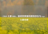 CSGO 土豪 KKK，游戏世界里的独特存在与 csgo 土豪仓库