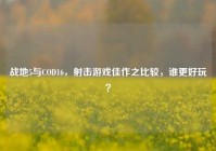 战地5与COD16，射击游戏佳作之比较，谁更好玩？