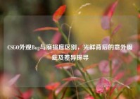 CSGO外观Bug与磨损度区别，光鲜背后的意外瑕疵及差异探寻
