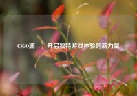 CSGO澜澪，开启独特游戏体验的新力量