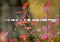 CSGO 资料公开，助力玩家深度探索游戏世界