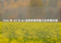 PUBG 中 SLR 与 SKS 皮肤的独特魅力及收藏价值