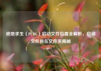 绝地求生（PUBG）启动文件位置全解析，启动文件所在文件夹揭秘