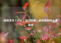 绝地求生（PUBG）防封指南，教你如何防止被误封