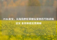 PUBG金宝，从海岛野区草根玩家到百万粉战场活宝 金装保底花费揭秘