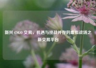 新兴 CSGO 交易，机遇与挑战并存的虚拟战场之新交易平台