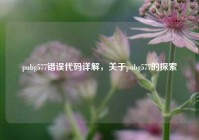 pubg577错误代码详解，关于pubg577的探索