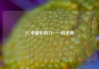 CF 中最长的刀——巨无霸