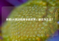 探索LOL周边商城手表世界，是否为正品？