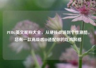 PUBG英文昵称大全，从硬核战场到个性潮酷，总有一款高级感ID适配你的吃鸡风格