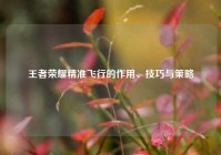 王者荣耀精准飞行的作用、技巧与策略