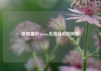 警惕廉价Steam充值背后的风险
