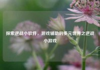 探索逆战小软件，游戏辅助的多元世界之逆战小游戏