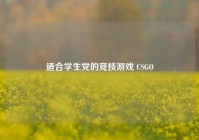 适合学生党的竞技游戏 CSGO