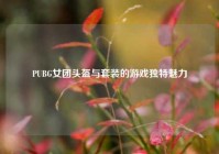 PUBG女团头盔与套装的游戏独特魅力