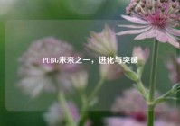PUBG未来之一，进化与突破