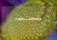 PS5畅玩Steam游戏的方法