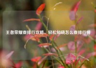 王者荣耀查排行攻略，轻松知晓怎么查排行榜