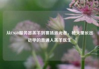 从CSGO服务器羔羊到赛场追光者，枪火里长出铠甲的普通人羔羊医生