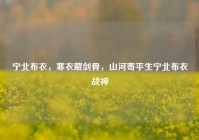 宁北布衣，寒衣藏剑骨，山河寄平生宁北布衣战神