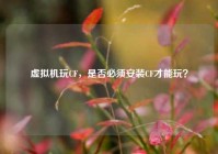 虚拟机玩CF，是否必须安装CF才能玩？