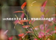 LOL伤感名字大全（男），那些触动人心的名字