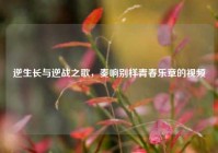 逆生长与逆战之歌，奏响别样青春乐章的视频
