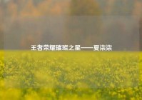 王者荣耀璀璨之星——夏柒柒