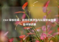 CSGO 审核结案，游戏环境净化与玩家权益保障取得新进展