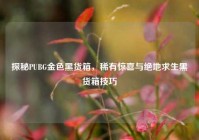 探秘PUBG金色黑货箱，稀有惊喜与绝地求生黑货箱技巧