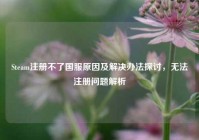 Steam注册不了国服原因及解决办法探讨，无法注册问题解析