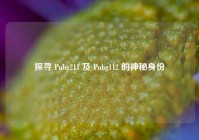 探寻 Pubg211 及 Pubg112 的神秘身份