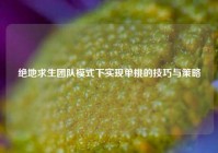 绝地求生团队模式下实现单挑的技巧与策略