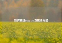 如何畅玩Pubg Lite及玩法介绍