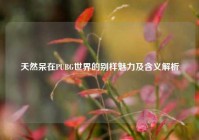 天然呆在PUBG世界的别样魅力及含义解析