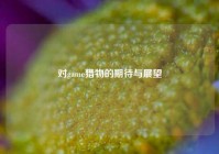 对game猎物的期待与展望