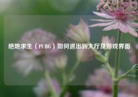 绝地求生（PUBG）如何退出到大厅及游戏界面